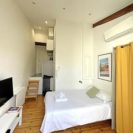 Apartamento La Terrasse De Wilson Toulouse